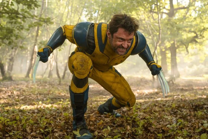 Wolverine in woods Blank Meme Template