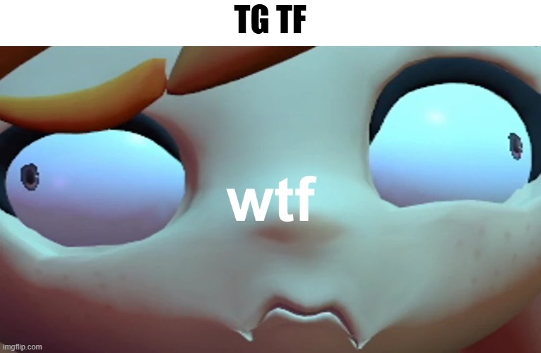 when you search up tg tf | TG TF | image tagged in wtf face,smg4,tg tf,tf,transformation | made w/ Imgflip meme maker
