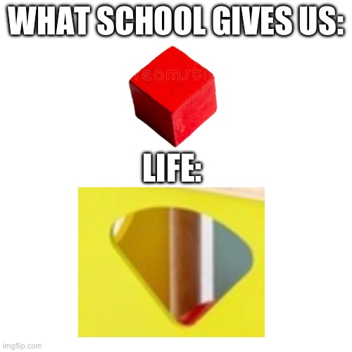 What schools gives us, vs, Life | WHAT SCHOOL GIVES US:; LIFE: | image tagged in schools,school,life | made w/ Imgflip meme maker