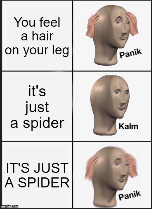 ew | You feel a hair on your leg; it's just a spider; IT'S JUST A SPIDER | image tagged in memes,panik kalm panik | made w/ Imgflip meme maker