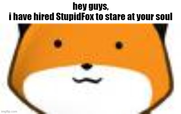 (Art Credit : EyChanChan) | hey guys,
i have hired StupidFox to stare at your soul | image tagged in fox,wholesome,da,funny | made w/ Imgflip meme maker