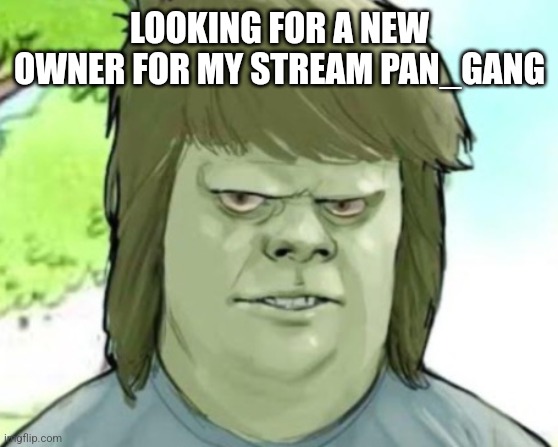 My mom | LOOKING FOR A NEW OWNER FOR MY STREAM PAN_GANG | image tagged in my mom | made w/ Imgflip meme maker
