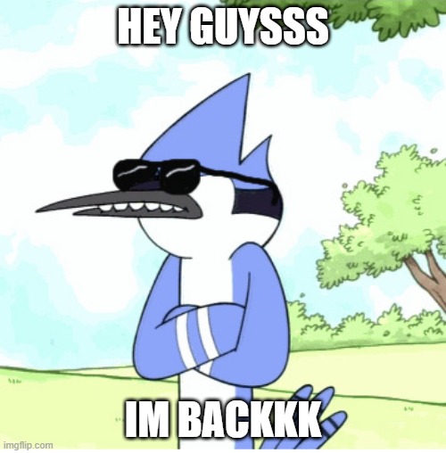 my email was not verified but i fixed so can i join here again | HEY GUYSSS; IM BACKKK | image tagged in mordecai regular show shades lame | made w/ Imgflip meme maker