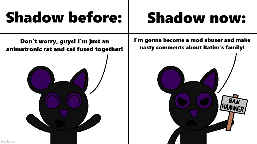 What the hell happened to Shadow?! | image tagged in shadow,rat,cat,downfall | made w/ Imgflip meme maker