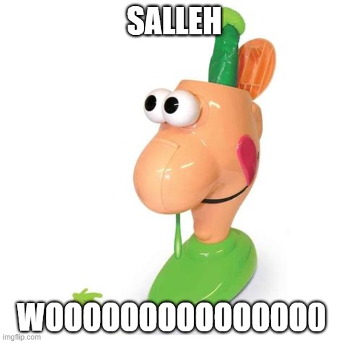 Sally | WOOOOOOOOOOOOOO0; SALLEH | image tagged in sally,wooooooooo,plop i farted,stinkeh poop,boris johnson,dinald trump | made w/ Imgflip meme maker