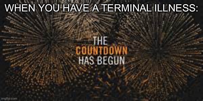countdown | WHEN YOU HAVE A TERMINAL ILLNESS: | image tagged in countdown | made w/ Imgflip meme maker