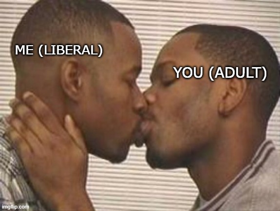 2 gay black mens kissing | ME (LIBERAL) YOU (ADULT) | image tagged in 2 gay black mens kissing | made w/ Imgflip meme maker