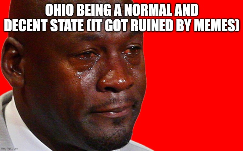 Crying Michael Jordan | OHIO BEING A NORMAL AND DECENT STATE (IT GOT RUINED BY MEMES) | image tagged in crying michael jordan | made w/ Imgflip meme maker