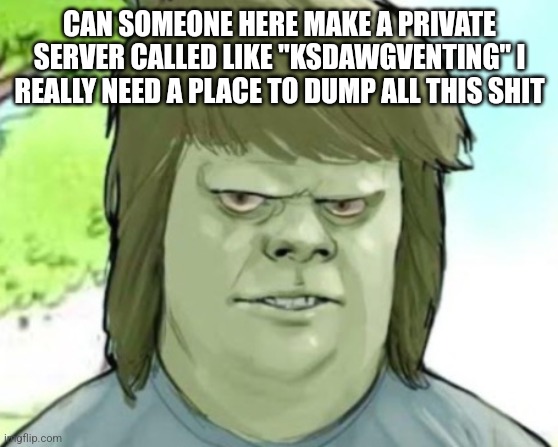 Make me owner btw | CAN SOMEONE HERE MAKE A PRIVATE SERVER CALLED LIKE "KSDAWGVENTING" I REALLY NEED A PLACE TO DUMP ALL THIS SHIT | image tagged in my mom | made w/ Imgflip meme maker