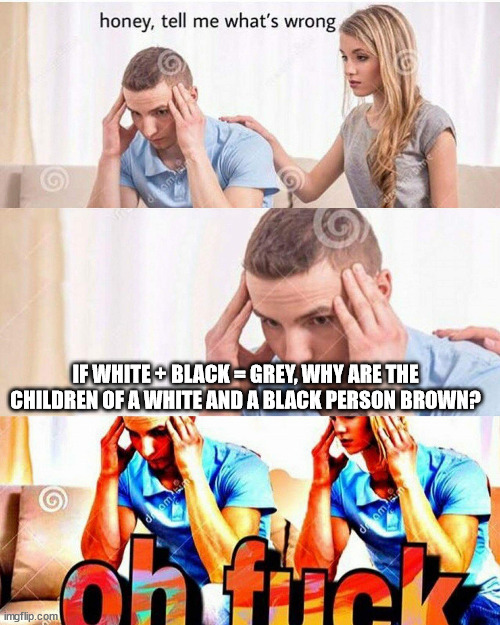 Question for the mods: Is this dark humor? | IF WHITE + BLACK = GREY, WHY ARE THE CHILDREN OF A WHITE AND A BLACK PERSON BROWN? | image tagged in honey whats wrong,memes,funny | made w/ Imgflip meme maker