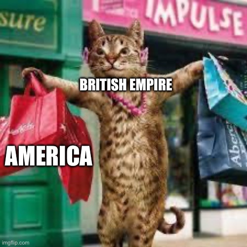 Cat shopping | BRITISH EMPIRE AMERICA | image tagged in cat shopping | made w/ Imgflip meme maker