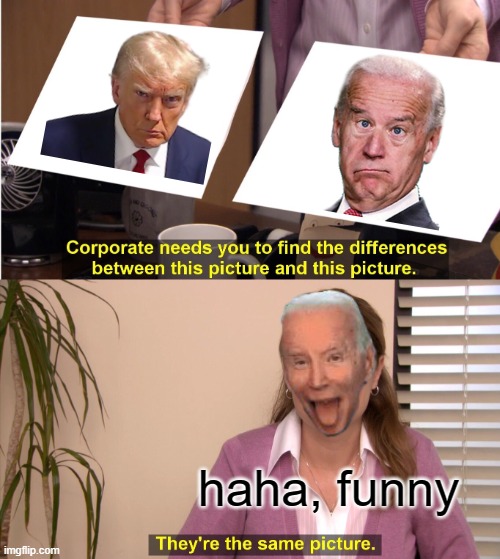 They're The Same Picture | haha, funny | image tagged in memes,they're the same picture | made w/ Imgflip meme maker