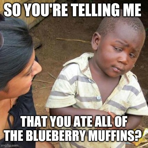 Blueberry muffins | SO YOU'RE TELLING ME; THAT YOU ATE ALL OF THE BLUEBERRY MUFFINS? | image tagged in memes,third world skeptical kid,funny memes | made w/ Imgflip meme maker