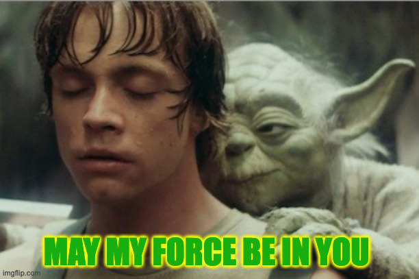 Luke & Yoda | MAY MY FORCE BE IN YOU | image tagged in luke yoda | made w/ Imgflip meme maker