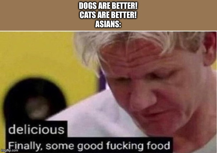 Gordon Ramsay some good food | DOGS ARE BETTER!
CATS ARE BETTER!
ASIANS: | image tagged in gordon ramsay some good food | made w/ Imgflip meme maker
