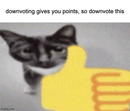 Downvote this | downvoting gives you points, so downvote this | image tagged in thumbs up cat,downvote | made w/ Imgflip meme maker