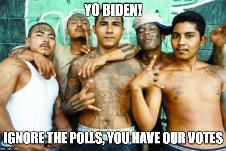 Illegals for Biden | YO BIDEN! IGNORE THE POLLS, YOU HAVE OUR VOTES | image tagged in mexican gang members,illegals for biden,democrat war on america,election fraud,open borders,cartels across america | made w/ Imgflip meme maker