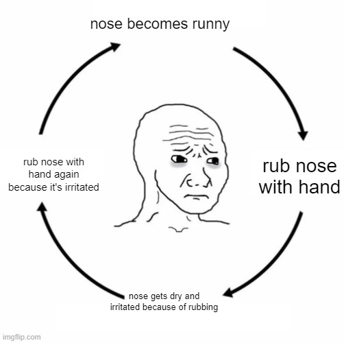 Sad wojak cycle | nose becomes runny; rub nose with hand; rub nose with hand again because it's irritated; nose gets dry and irritated because of rubbing | image tagged in sad wojak cycle | made w/ Imgflip meme maker