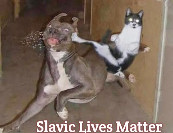 GET REKT | Slavic Lives Matter | image tagged in get rekt,slavic | made w/ Imgflip meme maker