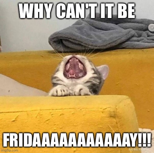 WHY CAN’T IT BE CRIDAY | WHY CAN'T IT BE; FRIDAAAAAAAAAAAY!!! | image tagged in wednesday,thursday | made w/ Imgflip meme maker