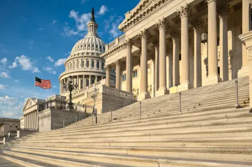 High Quality US Capitol steps Blank Meme Template