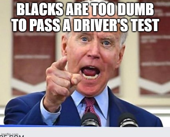 Joe Biden no malarkey | BLACKS ARE TOO DUMB TO PASS A DRIVER'S TEST | image tagged in joe biden no malarkey | made w/ Imgflip meme maker