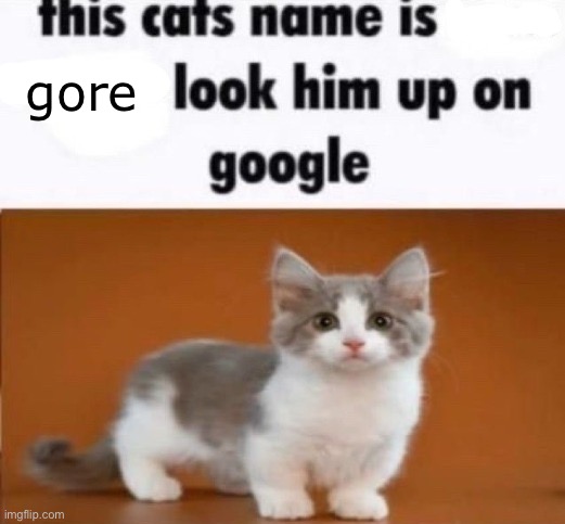 [REDACTED]’s favorite cat | gore | image tagged in this cats name is x look him up on google | made w/ Imgflip meme maker