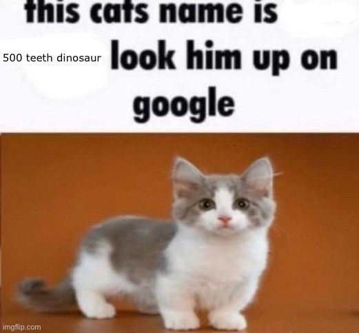 less funny | 500 teeth dinosaur | image tagged in this cats name is x look him up on google | made w/ Imgflip meme maker