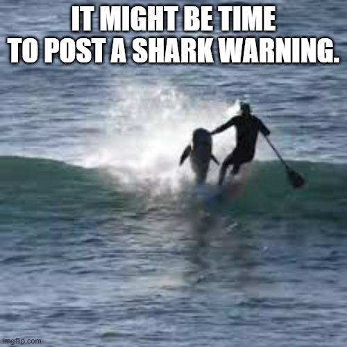 memes by Brad - shark going after a surfer | IT MIGHT BE TIME TO POST A SHARK WARNING. | image tagged in funny,sports,sharks,surfing,funny meme,humor | made w/ Imgflip meme maker