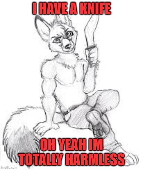 Knife hehehe | I HAVE A KNIFE; OH YEAH IM TOTALLY HARMLESS | image tagged in furry,furries,the furry fandom,furry memes | made w/ Imgflip meme maker