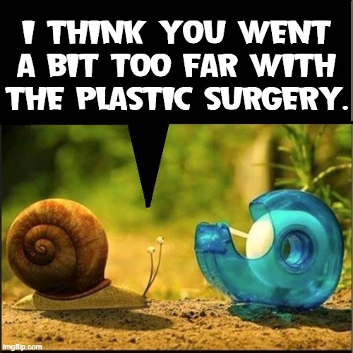 In the Garden of the Jolly... Ho-Ho-Ho, Green Plastic Surgeon | I THINK YOU WENT A BIT TOO FAR WITH THE PLASTIC SURGERY. | image tagged in vince vance,scotch tape,snail,plastic surgery,memes,cartoons | made w/ Imgflip meme maker