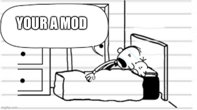 Your a mod | YOUR A MOD | image tagged in diary of a wimpy kid temp | made w/ Imgflip meme maker