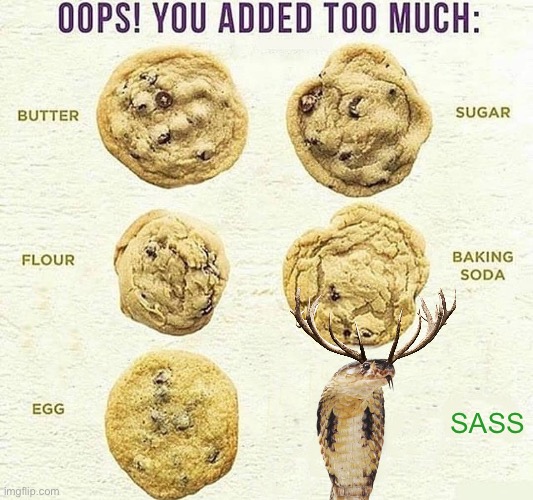 Oops, You Added Too Much | SASS | image tagged in oops you added too much | made w/ Imgflip meme maker