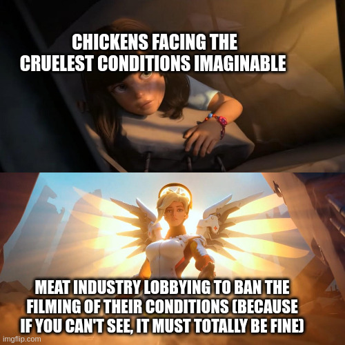 Ag-gag laws are something | CHICKENS FACING THE CRUELEST CONDITIONS IMAGINABLE; MEAT INDUSTRY LOBBYING TO BAN THE FILMING OF THEIR CONDITIONS (BECAUSE IF YOU CAN'T SEE, IT MUST TOTALLY BE FINE) | image tagged in overwatch mercy meme,cruel,animal rights,capitalism,censorship,meat | made w/ Imgflip meme maker