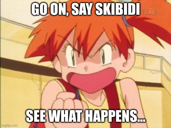 Pokemon Revenge | GO ON, SAY SKIBIDI; SEE WHAT HAPPENS... | image tagged in pokemon revenge | made w/ Imgflip meme maker