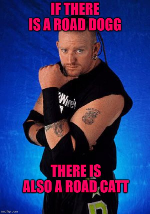 Road dogg | IF THERE IS A ROAD DOGG; THERE IS ALSO A ROAD CATT | image tagged in road dogg | made w/ Imgflip meme maker
