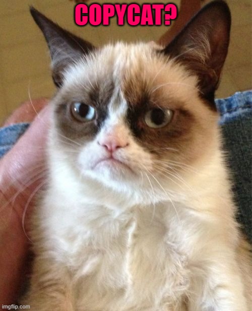 Grumpy Cat Meme | COPYCAT? | image tagged in memes,grumpy cat | made w/ Imgflip meme maker