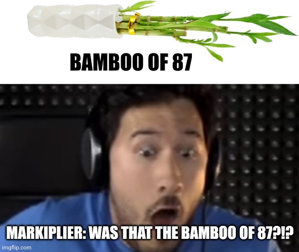 Bamboo of 87 | BAMBOO OF 87; MARKIPLIER: WAS THAT THE BAMBOO OF 87?!? | image tagged in was that the bite of '87,jpfan102504 | made w/ Imgflip meme maker