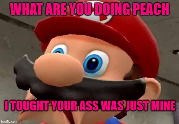 WHAT ARE YOU DOING PEACH I TOUGHT YOUR ASS WAS JUST MINE | image tagged in mario wtf | made w/ Imgflip meme maker