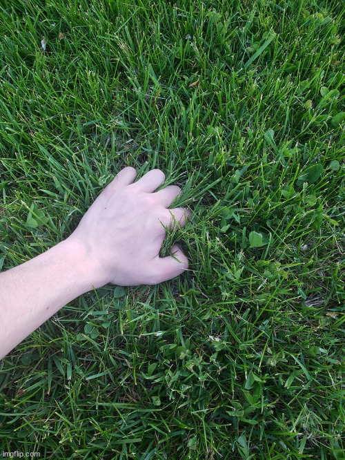 Touching grass | image tagged in touching grass | made w/ Imgflip meme maker