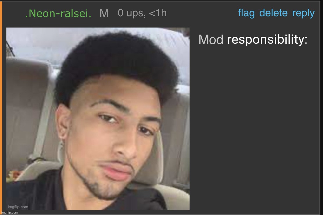 Mod responsibility: | responsibility: | image tagged in mod abuse,mod responsibility | made w/ Imgflip meme maker