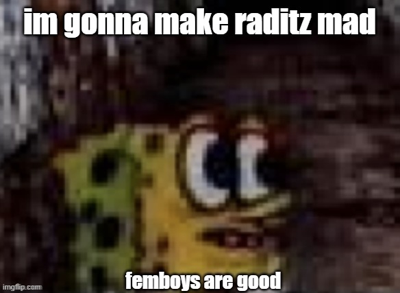 spunch bop trauma | im gonna make raditz mad; femboys are good | image tagged in spunch bop trauma | made w/ Imgflip meme maker