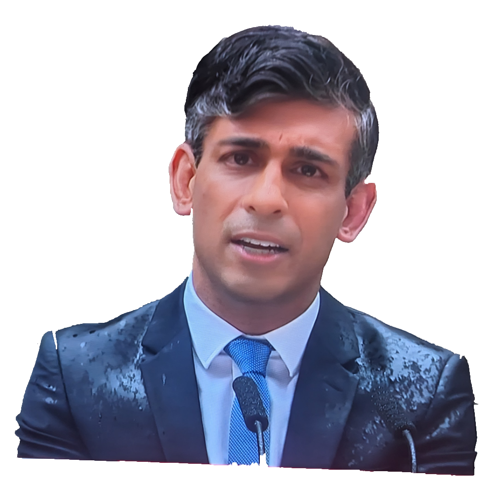 Wet Look Rishi Blank Meme Template