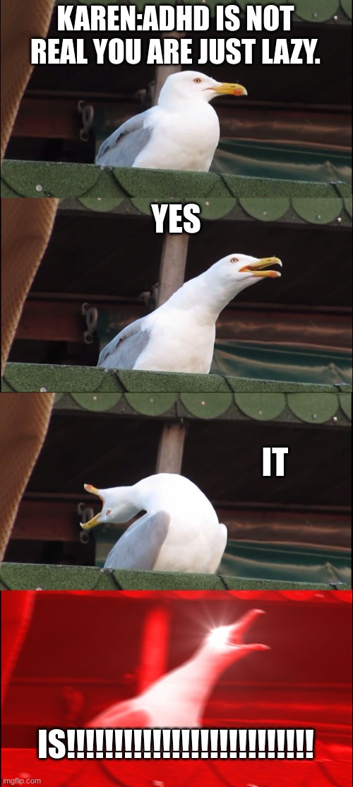 Inhaling Seagull | KAREN:ADHD IS NOT REAL YOU ARE JUST LAZY. YES; IT; IS!!!!!!!!!!!!!!!!!!!!!!!!!! | image tagged in memes,inhaling seagull | made w/ Imgflip meme maker