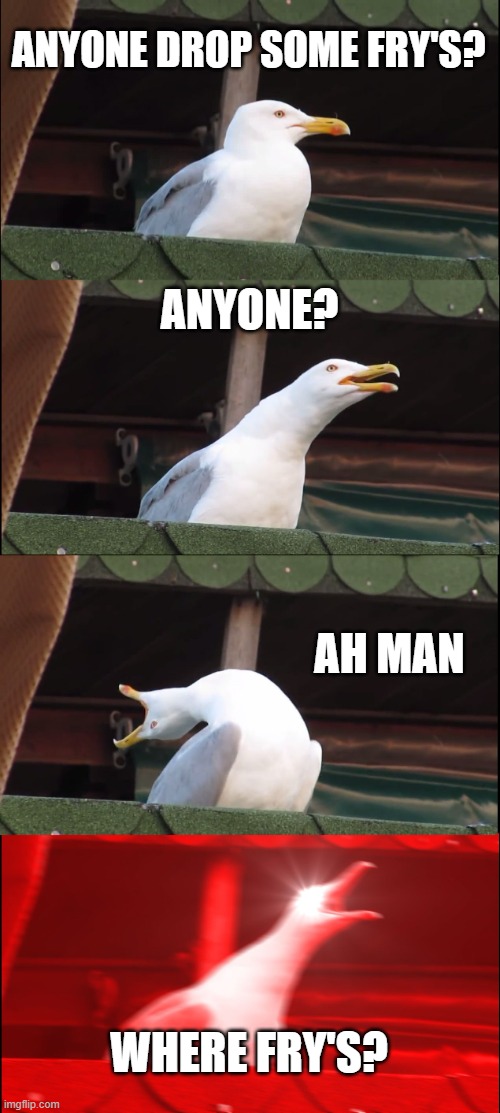 Inhaling Seagull | ANYONE DROP SOME FRY'S? ANYONE? AH MAN; WHERE FRY'S? | image tagged in memes,inhaling seagull | made w/ Imgflip meme maker