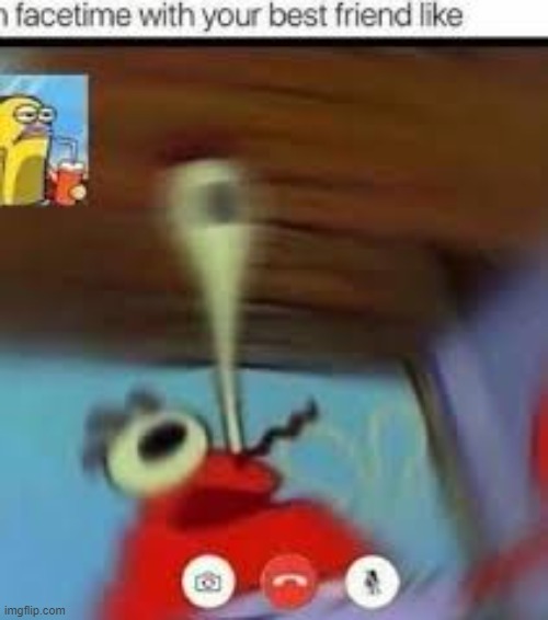 facetime with friend | image tagged in facetime with friend | made w/ Imgflip meme maker