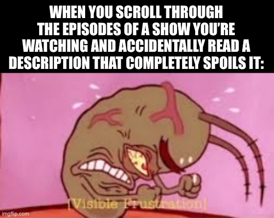 ARRRRRGGGGHHH NOOOOOOOOOO | WHEN YOU SCROLL THROUGH THE EPISODES OF A SHOW YOU’RE WATCHING AND ACCIDENTALLY READ A DESCRIPTION THAT COMPLETELY SPOILS IT: | image tagged in visible frustration | made w/ Imgflip meme maker