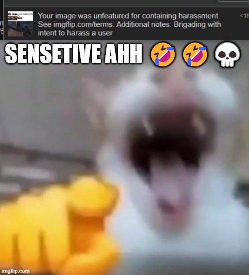 SENSETIVE AHH 🤣🤣💀 | image tagged in cat pointing and laughing | made w/ Imgflip meme maker