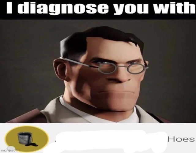 I diagnose you with A Distinctive Lack of Hoes | image tagged in i diagnose you with a distinctive lack of hoes | made w/ Imgflip meme maker