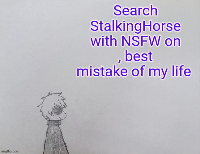 Temp by anybadboy | Search StalkingHorse with NSFW on , best mistake of my life | image tagged in temp by anybadboy | made w/ Imgflip meme maker